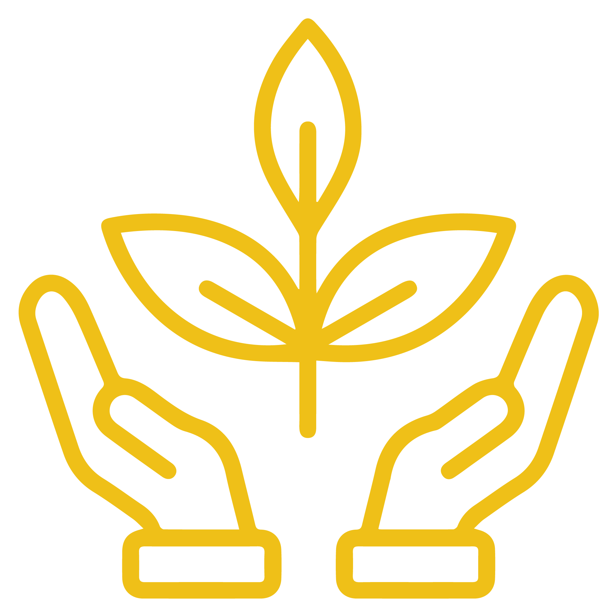 Pure & Natural Ingredients